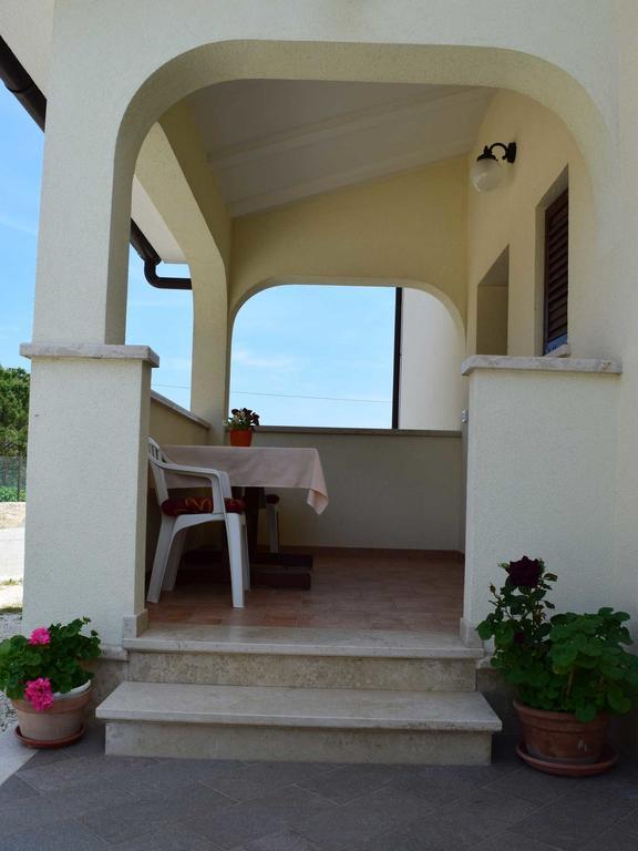 Guesthouse Marko Musalez Dış mekan fotoğraf
